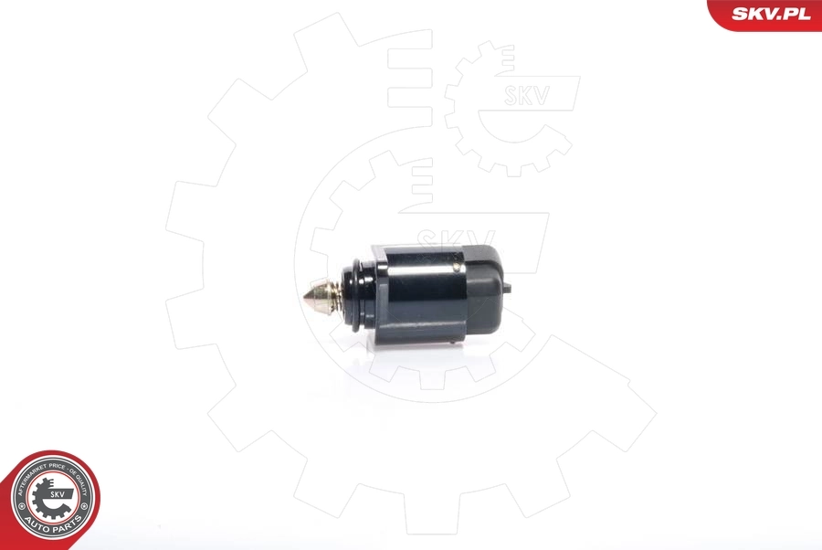 Idle Control Valve, air supply